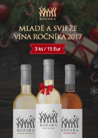 Vianočná akcia: 3 mladé vína za 15€